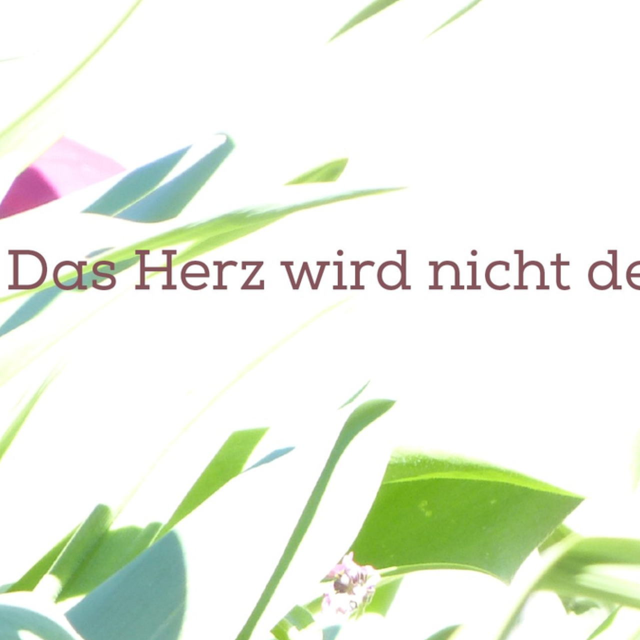 Demenz